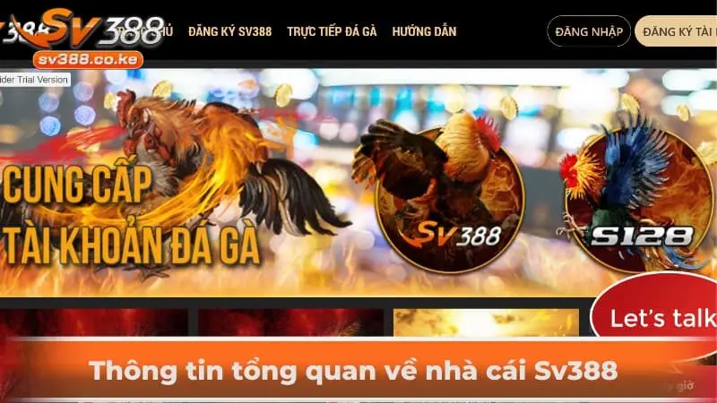 Thông tin tổng quan về nhà cái Sv388
