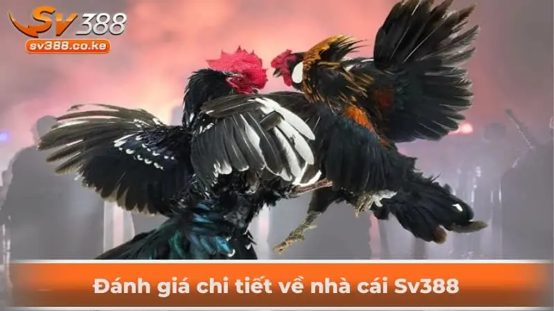 Đánh giá chi tiết về nhà cái Sv388