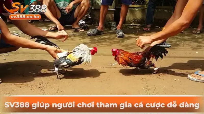 SV388 giúp người chơi tham gia cá cược dễ dàng